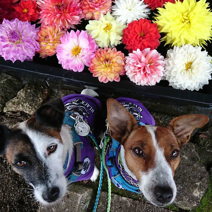 8afe7124 9ffd 4dca 87ad 84f2cbb94bca 1603246697007