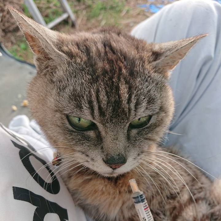 8afe8a18 f789 45fd 8f39 78de91bff14b 1595019472046