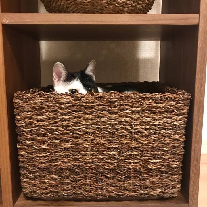 8afe9f47 07eb 4a69 b8cb ec1e4acbf127 1518172081492