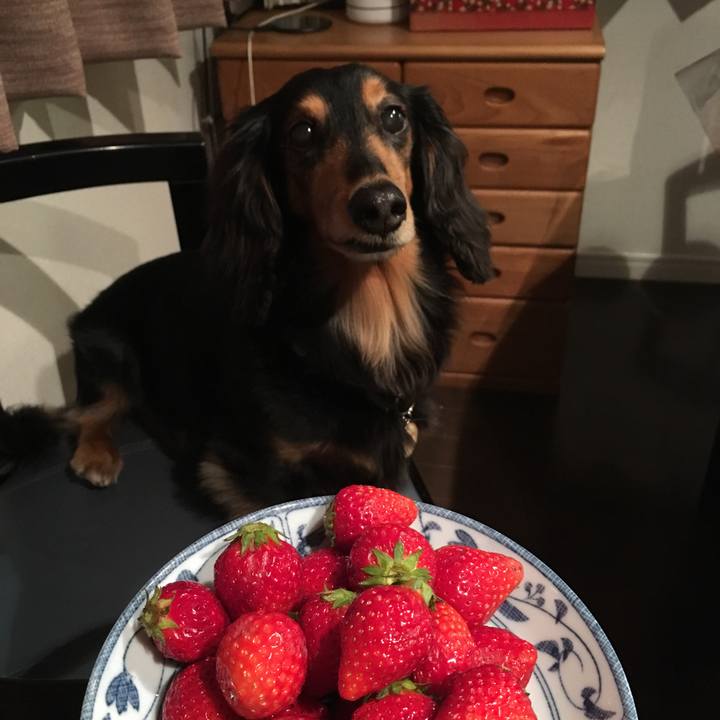 8afec2dd 3664 452b 8fc3 96f3982bec81 1523533752363