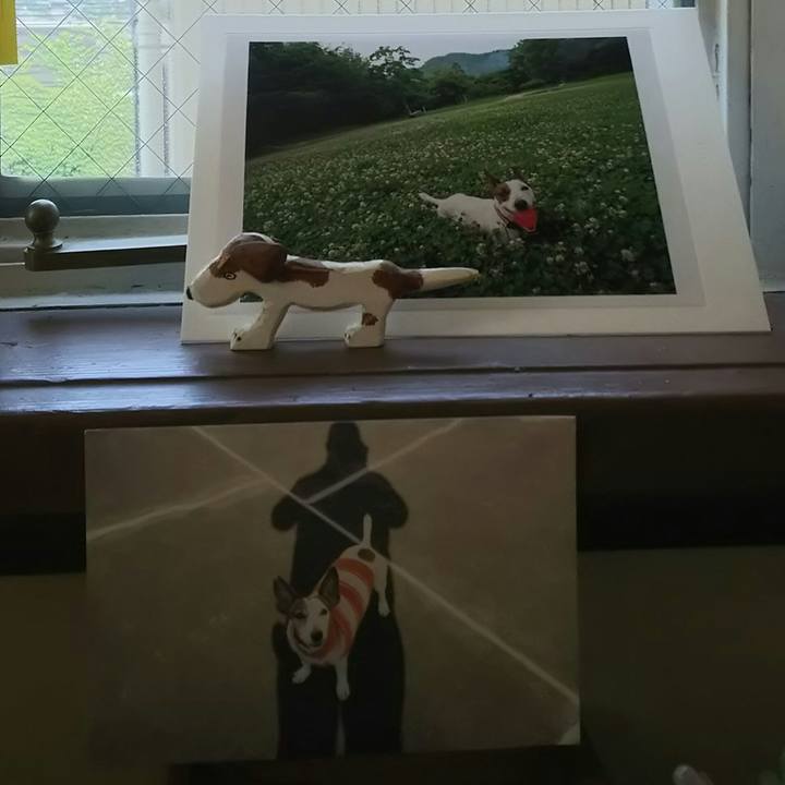 8afedbf9 0c3a 473b be68 42dc9b11a0b2 1524236034486