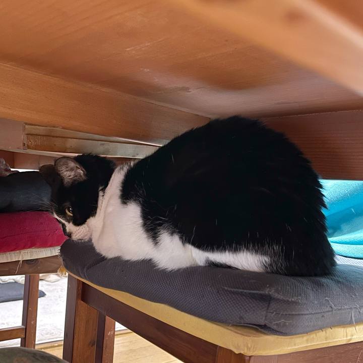 8afef268 899d 468a b8fd 7186533988f4 1767498531149