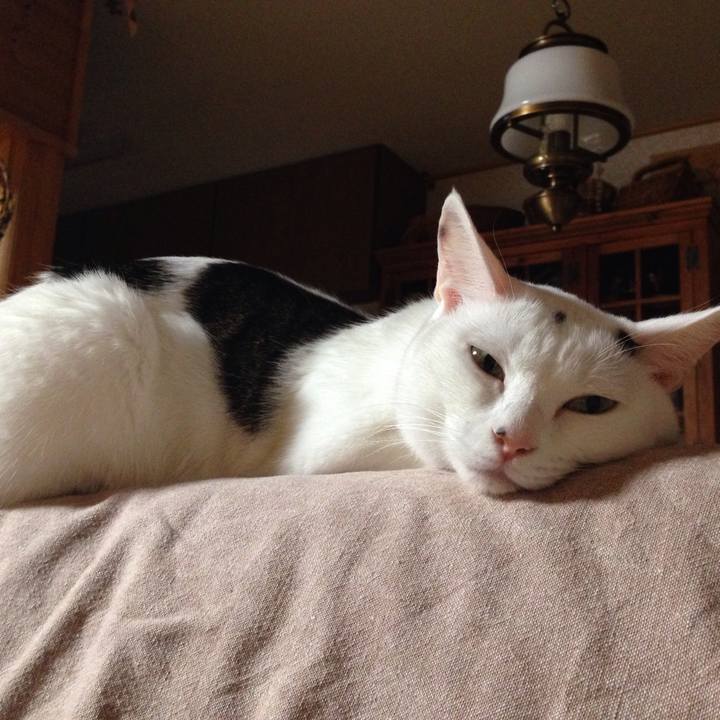 8afef8c5 4877 4519 a422 04a225c6fd1a 1509284058839