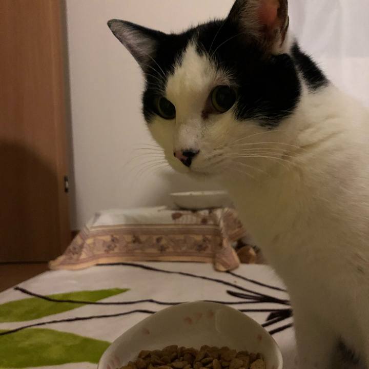 8afeffae d42e 421e a1f2 eacfe7204ff5 1546953686725