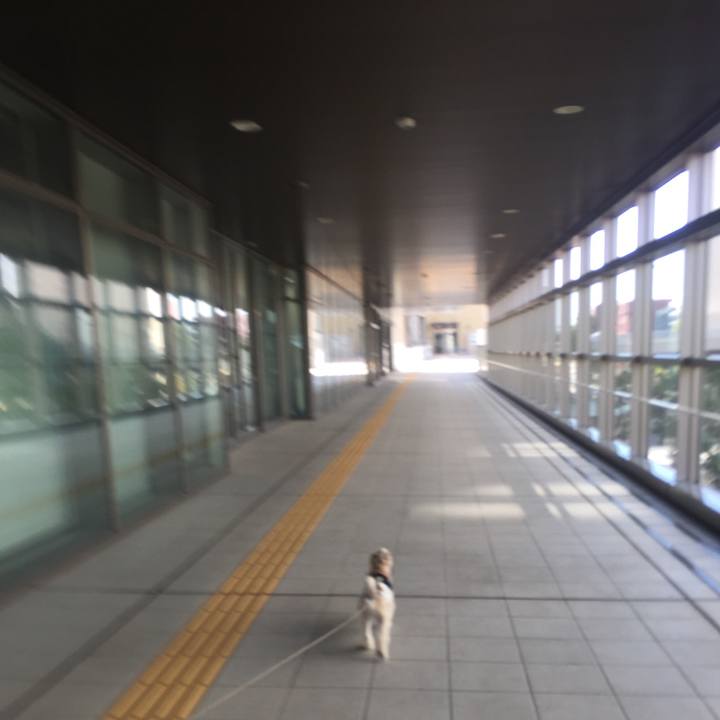 8aff0d15 91da 4c60 ace3 100ef5e5ed89 1540464475559