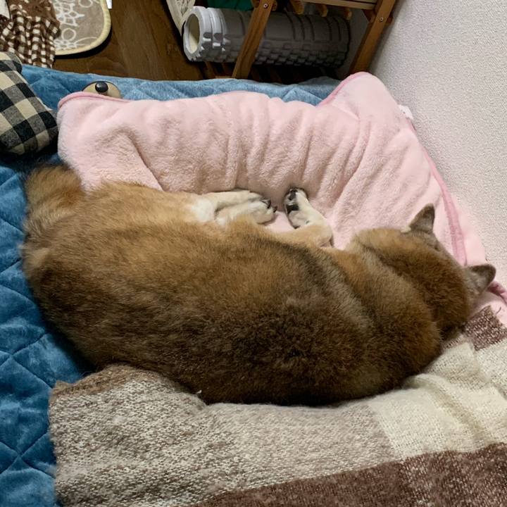 8aff2663 2bd5 448a bf0e f14f48ed9b6c 1675694330721