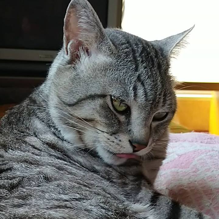 8aff283f 2624 4dee 81fa 4f9e128c3139 1682390225382