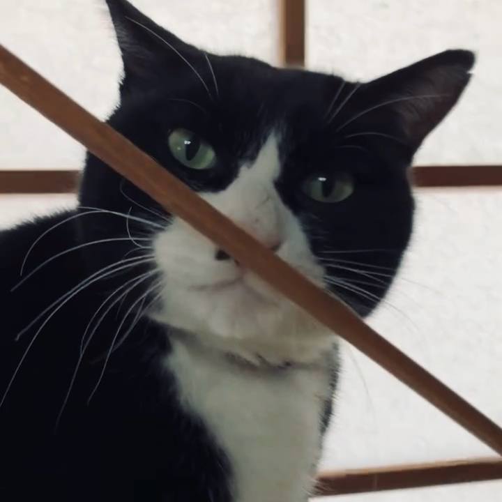 8aff3713 e3c5 43e2 b196 660dddff88c2 1735559459223