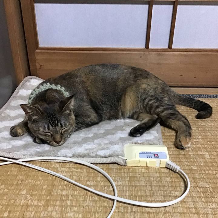 8aff4838 a04d 4b31 9657 61f0f0125945 1645094752976