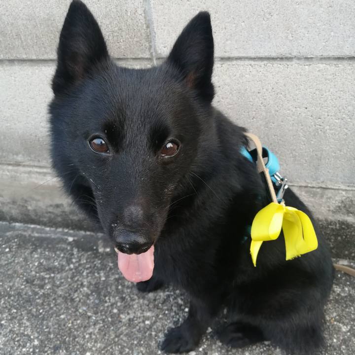 8aff5d1e 2c1b 4372 9eaa 318fbc6b24f7 1661376789861