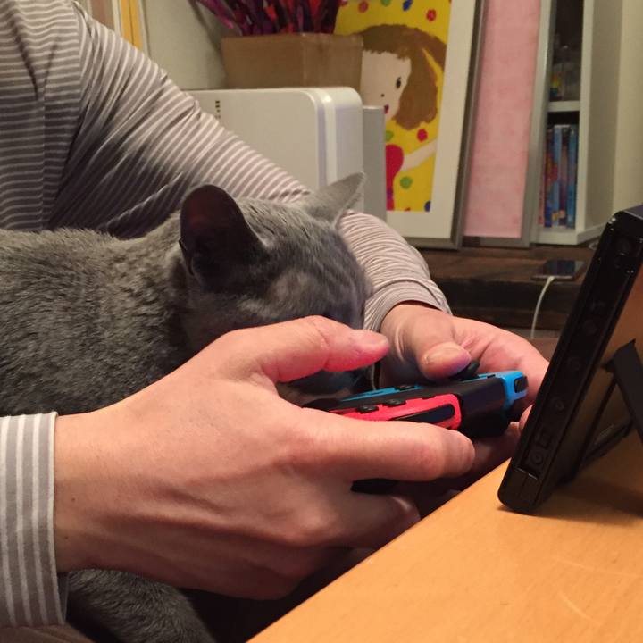 8aff71f1 3329 47f0 bf5c 4930e5decdaf 1523833671499