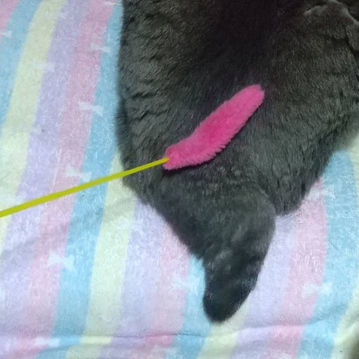 8affd50e f0db 40ab 8553 d9a63e553f38 1687182986686