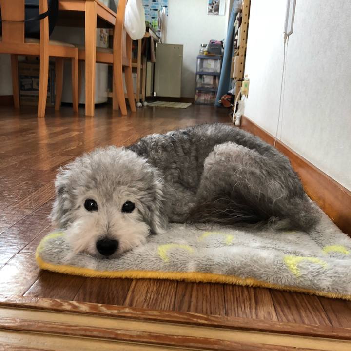 8b000bb9 23eb 4d40 8d8a 8496383ee35c 1530970458603