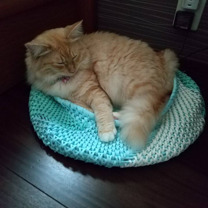 8b002428 5690 4ef2 81e7 45ba9462bb8d 1630190015153