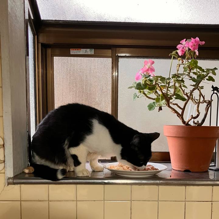 8b00466e 0bf6 4b38 b382 e8d39671c3aa 1763342748772