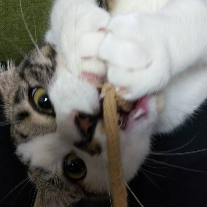 8b009ecf 7f4b 4863 a7af c3ae68ecf862 1618062878358