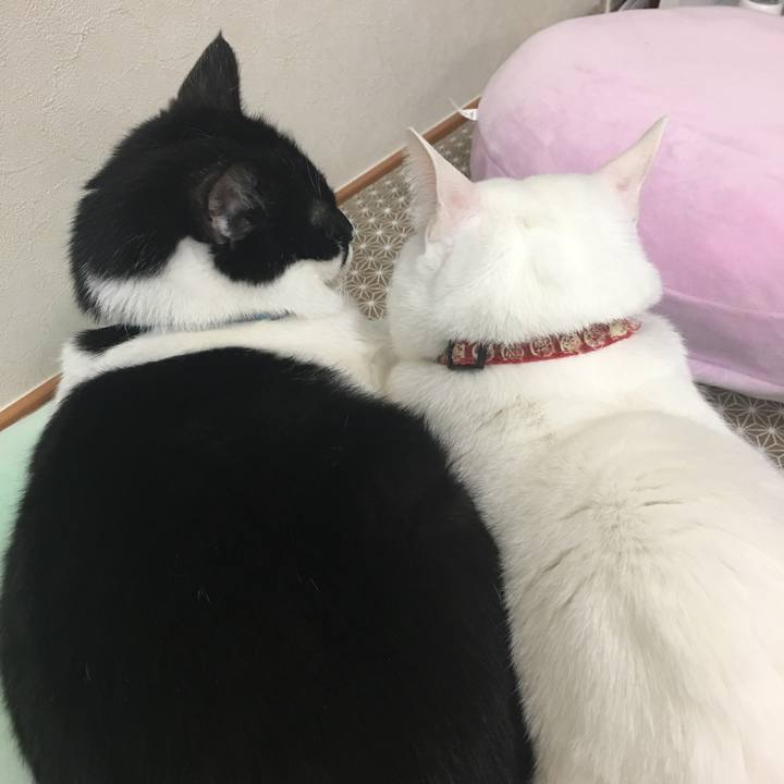 8b00ca82 7840 49b1 a0bb 3d69c7fe755f 1514446993931