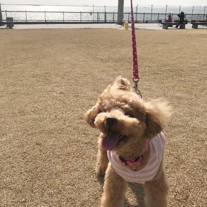 8b00dbb5 018f 464c 88dd 5f8a6db01175 1521518854908