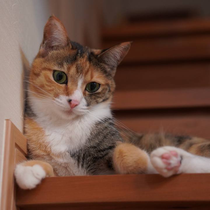 8b010f27 4392 4d1e 9f6f ead7512afaab 1719496697710