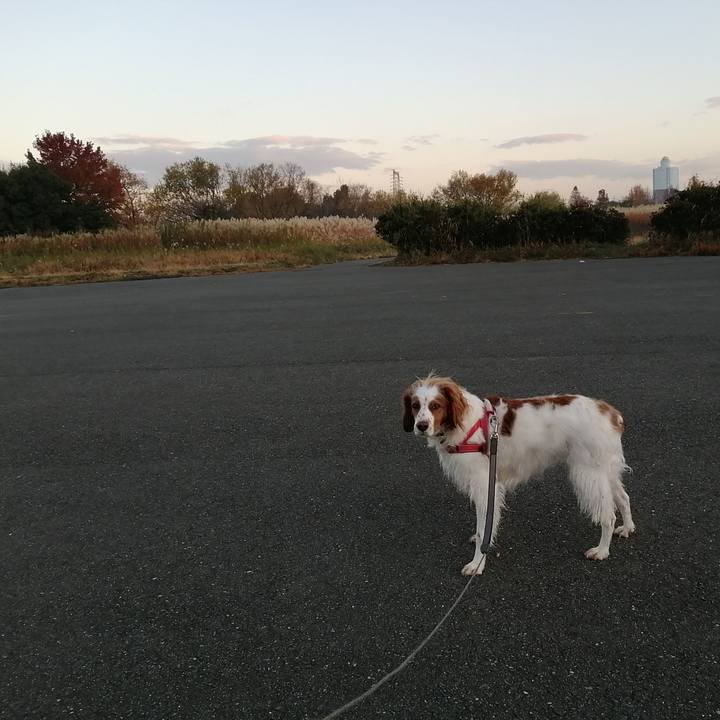 8b01238a 62bf 423a a607 5dd62b6bb071 1576804318859