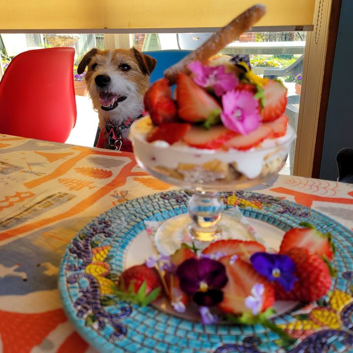 8b014dcb 062f 4c50 82f8 873e851ff7a6 1713073507364