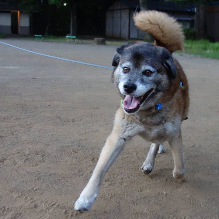 8b017453 3b34 45a0 bed1 5c7d225430e4 1528022898311