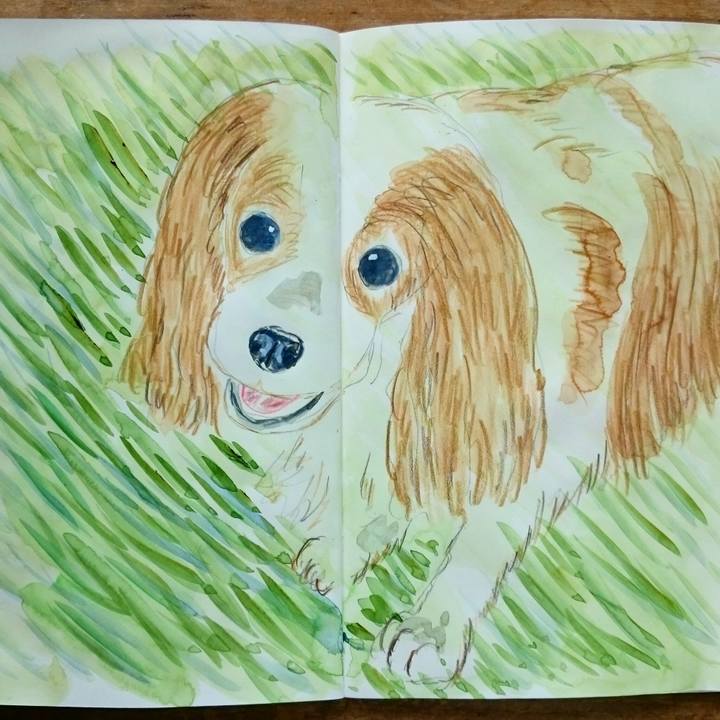 8b01b715 4586 433a 8e90 682e3b340c83 1564446731816