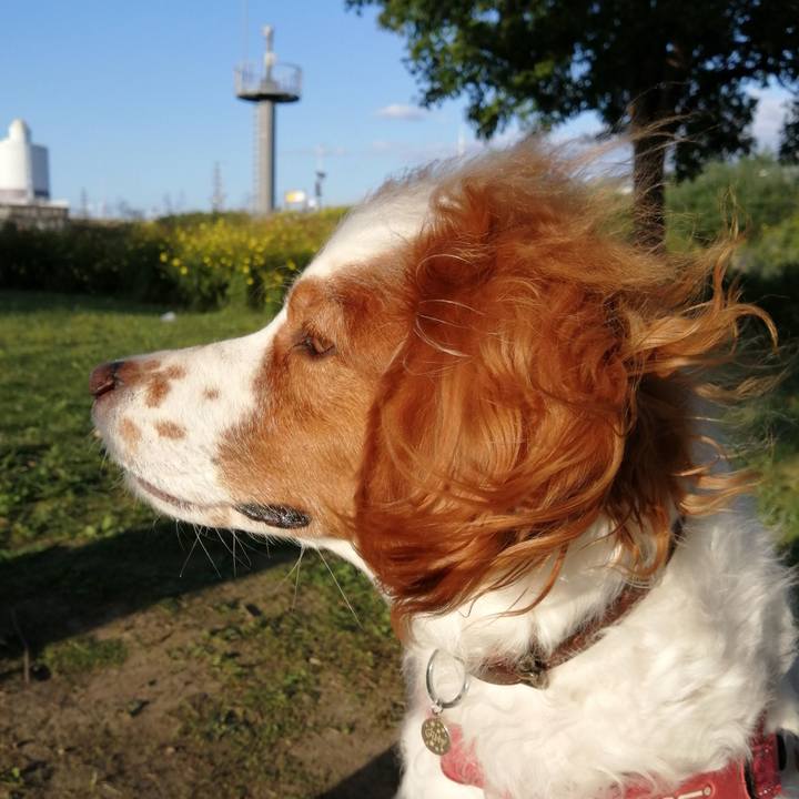 8b01c13a 6487 4020 b42e b2ea979e1582 1602898204456