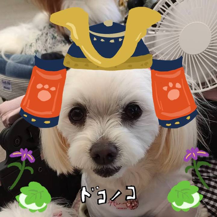 8b01fc68 3aff 40db 8dc8 4254cc027a62 1714880075035