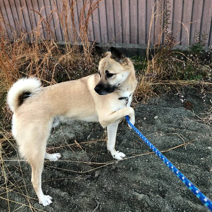 8b020b8d 4315 44a9 b579 94157dd6a393 1547816762920