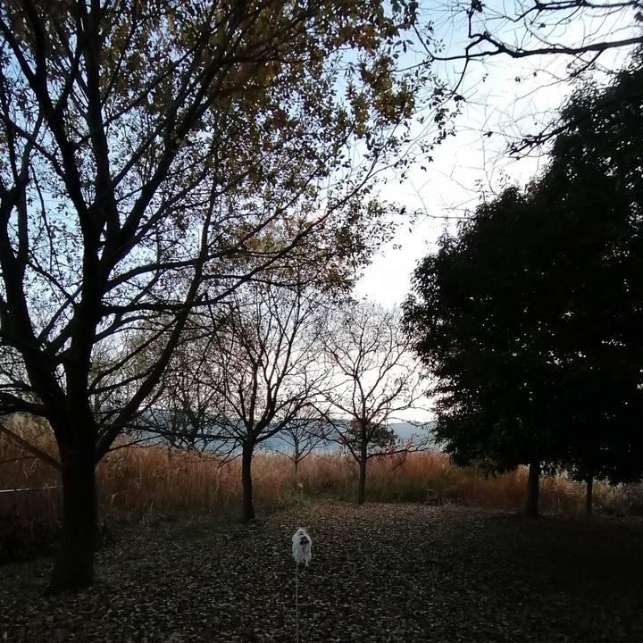 8b026ba3 3c55 4cb2 b32d ea93d7fa081f 1577145783374