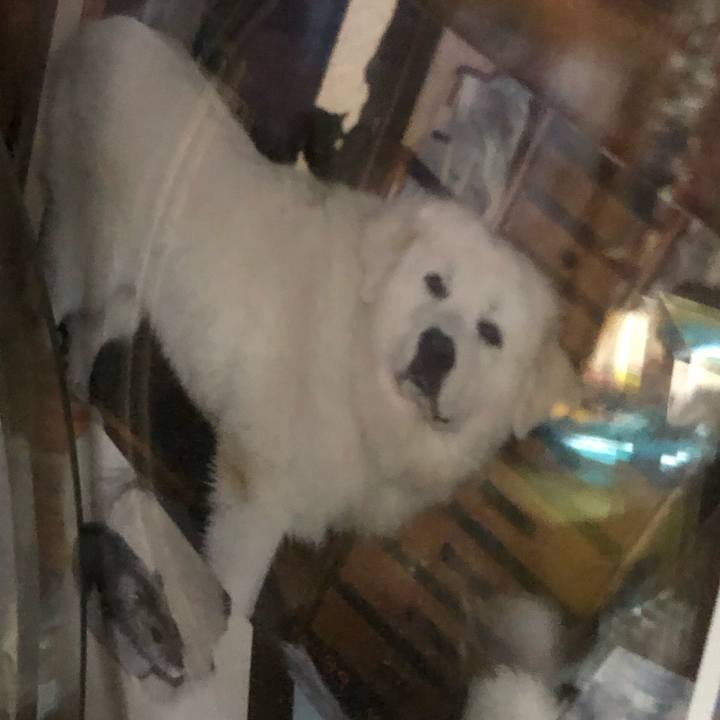 8b027fb0 1fde 406b 8578 83eca218a178 1553126126646