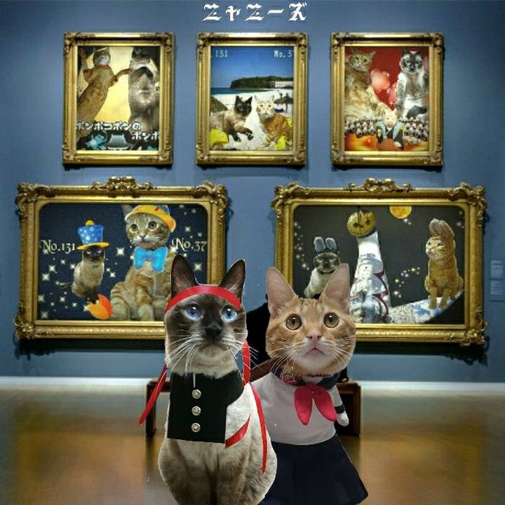 8b029752 552a 49f7 9fdd 67dd171cd9b4 1541245178110