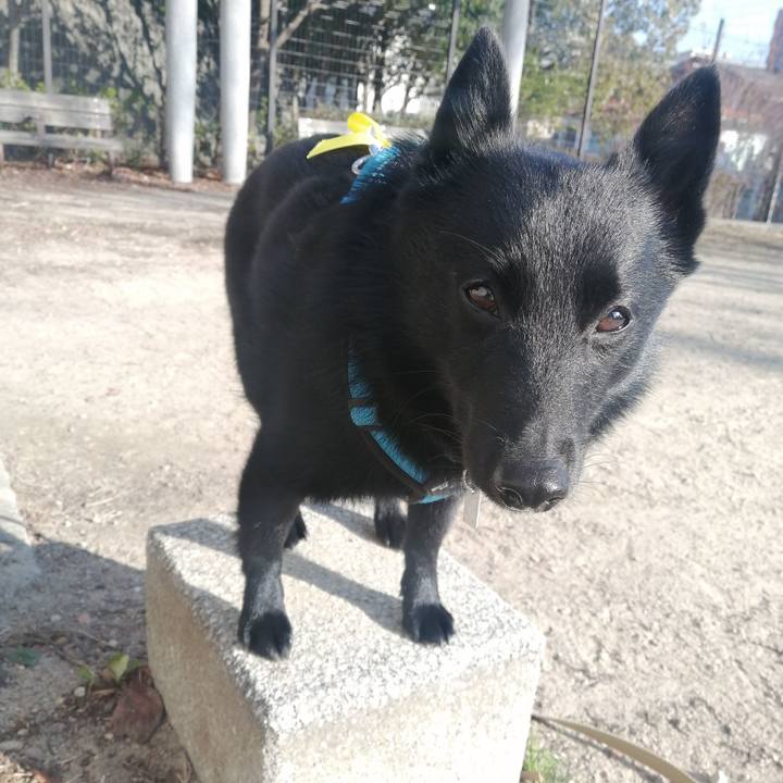 8b02b826 b362 48ae 8904 bb4951ce8ac4 1641170990588