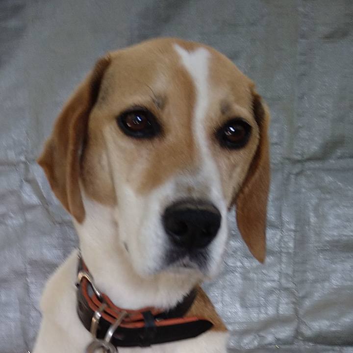 8b02de28 1414 4d0b b565 2bcd9e97c358 1656069144621