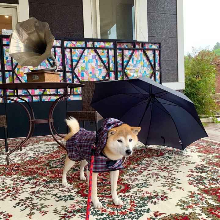 8b0388dd 3e57 4025 9209 947dc207b58b 1685350816657