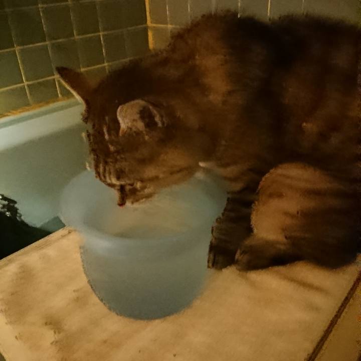 8b03d39d 5bb5 4307 a233 0a53fbbcf601 1570871149256