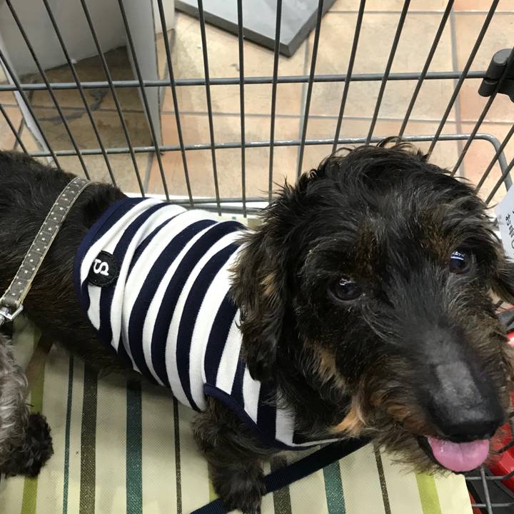 8b03d41f e66f 4187 9f6a 8aece43bd877 1508498088948