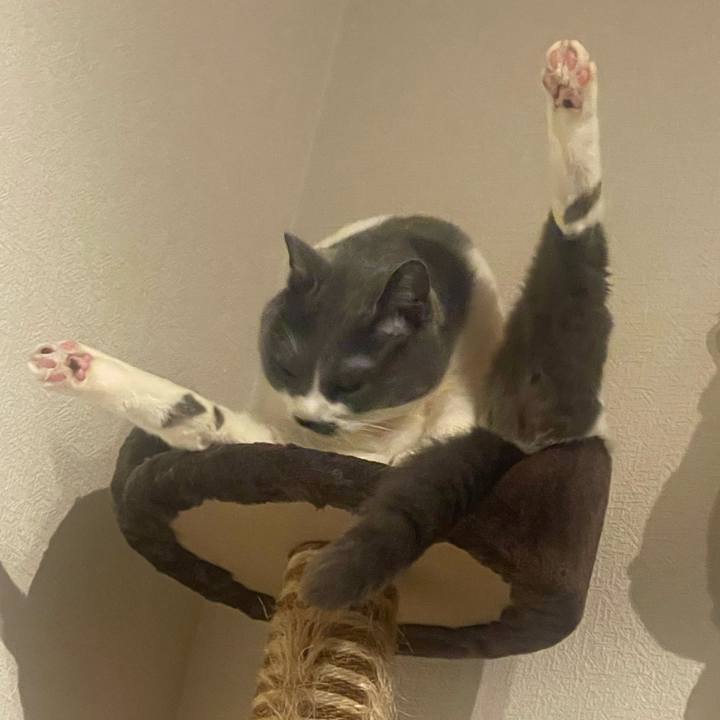 8b03e72a 6aed 4fc3 bdd4 3892238c00b5 1736693499843