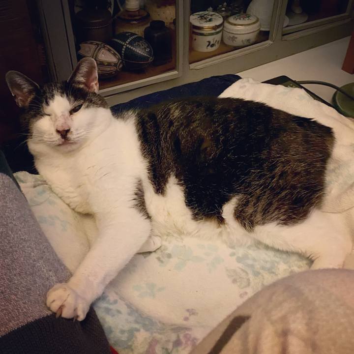 8b03ee8b bb65 4bd3 9120 ebbe99d4a793 1611755064221