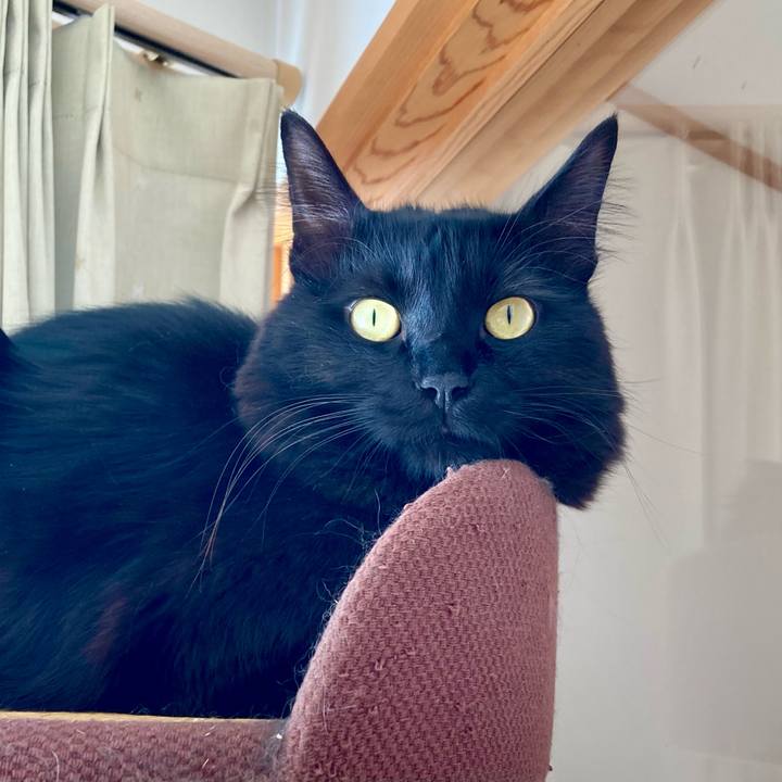 8b03fe62 e185 498a ac78 a5e1d3c580fd 1735551821535