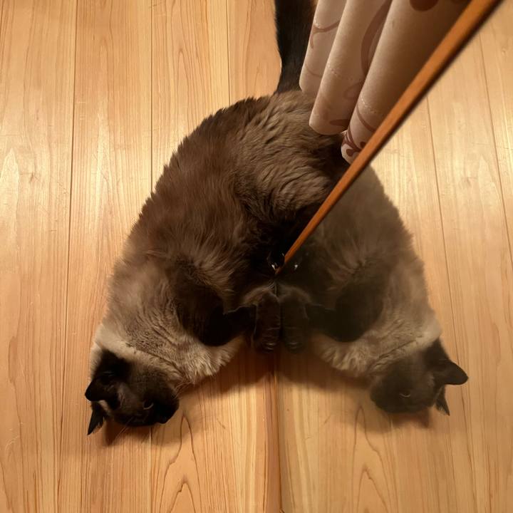 8b043494 fb23 43f9 b6d0 8f883062539f 1656588256614