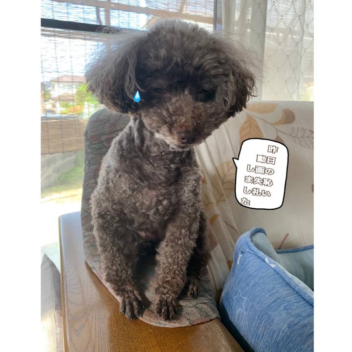 8b044f7e e160 4a17 ac85 c59e99eb1cde 1590534208407