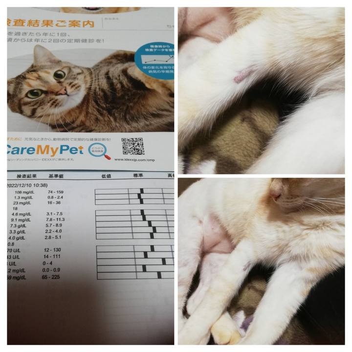 8b04c308 a132 44bf 9051 b4f4ea2f5532 1670737064493