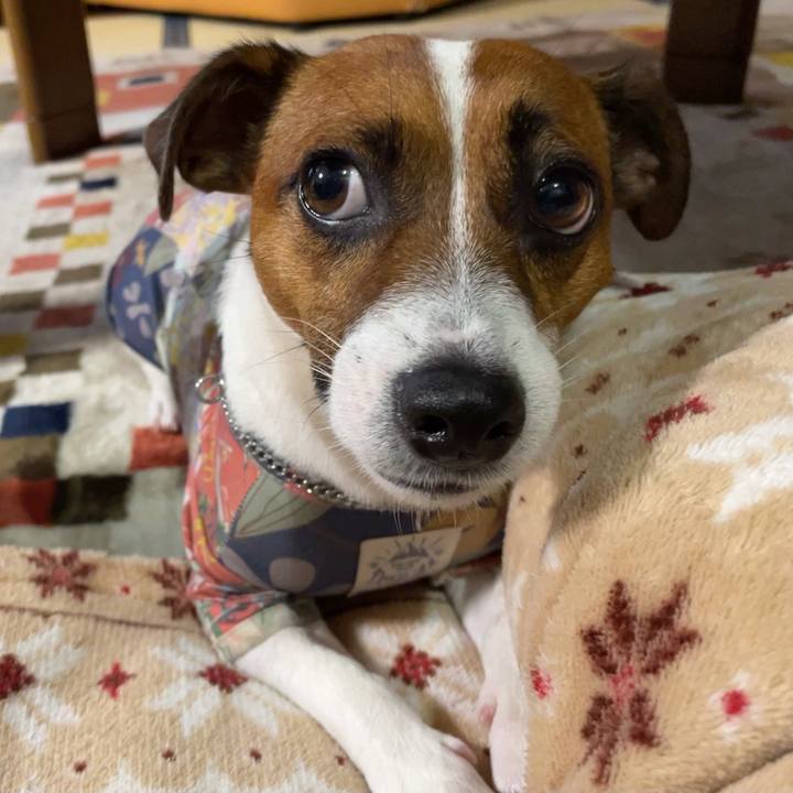 8b04ca9b 5f13 4cdf 8367 b92b022c03bb 1633699774750