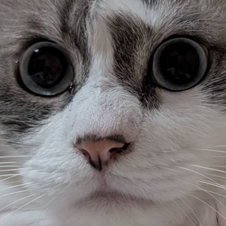8b04d5d8 1c5d 4a94 93f0 f6a99cf2690b 1778880454722