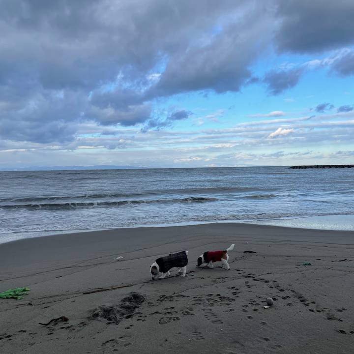 8b04e1ea 592c 426e b4b6 1ff317617bfb 1672447454307