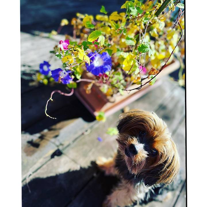 8b04e382 2729 46df 9c96 f38dca7f98b1 1663284043860