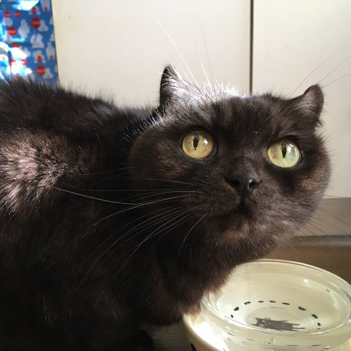 8b050485 0492 4050 ab50 9ce476dc1bfc 1514610301071