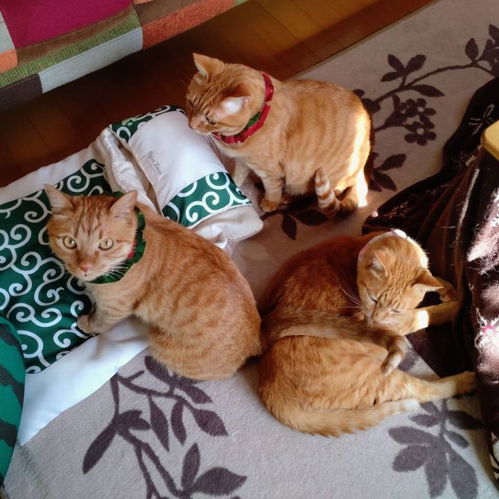 8b052277 82dc 4ad5 9e4a cffa0b0d35cd 1642481696554